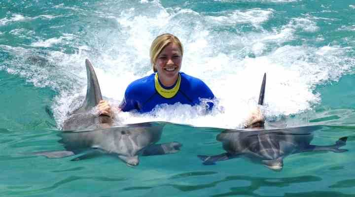 6 Places to Swim with Dolphins 711da26548c34fd78950656738d288d1 السباحة مع الدولفين في شرم الشيخ