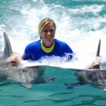 6 Places to Swim with Dolphins 711da26548c34fd78950656738d288d1 السباحة مع الدولفين في شرم الشيخ