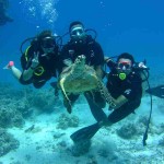 Diving 4 رحلة الغوص في راس محمد او جزيرة تيران