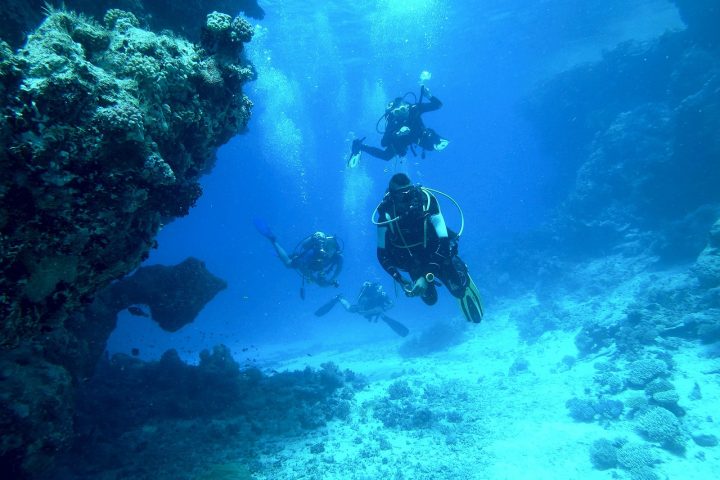 diving 813028 1280 رحلة الغوص في راس محمد او جزيرة تيران