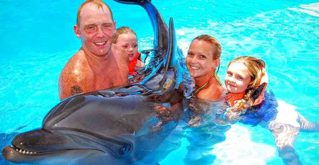 dolphin show 2 السباحة مع الدولفين في شرم الشيخ
