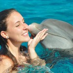 nado delfines puerto vallarta jun12 السباحة مع الدولفين في شرم الشيخ
