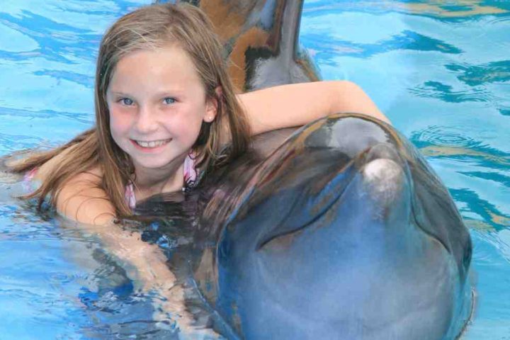 swim with dolphins grand velas riviera maya mexico th السباحة مع الدولفين في شرم الشيخ