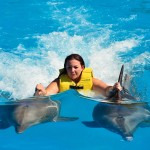 swimming with dolphins2 السباحة مع الدولفين في شرم الشيخ