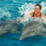 woman swimming with dolphins السباحة مع الدولفين في شرم الشيخ
