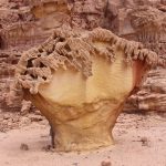 Rock in Ein Khadra Desert Oasis 0021 مدينة نويبع