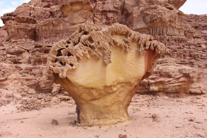 Rock in Ein Khadra Desert Oasis 0021 مدينة نويبع