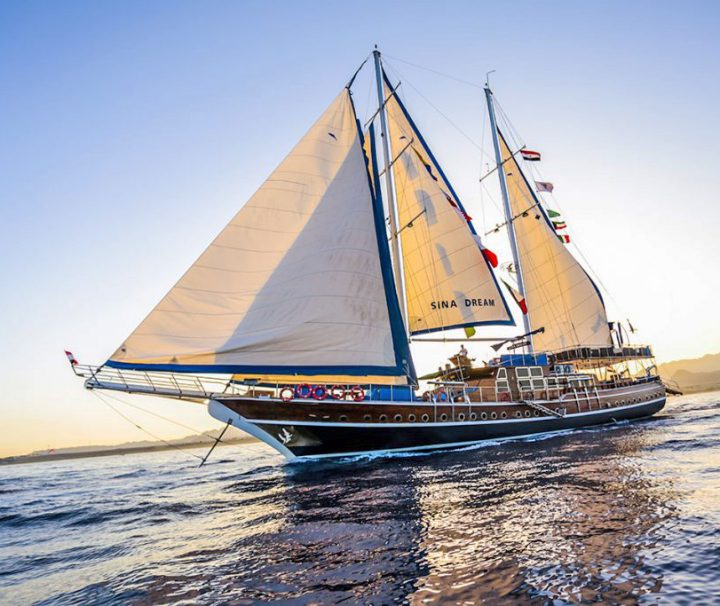 Sina dream dinner cruise رحلة ليلية علي مركب سينا دريم