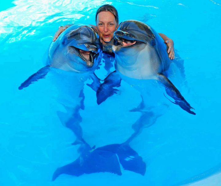 swimm with sharm el sheikh 2344 رحلة السباحة مع الدولفين شرم الشيخ